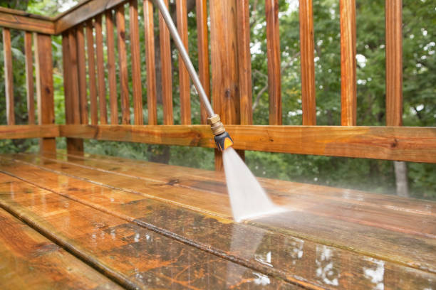 Best Deck Cleaning Services  in Jan Phyl Village, FL